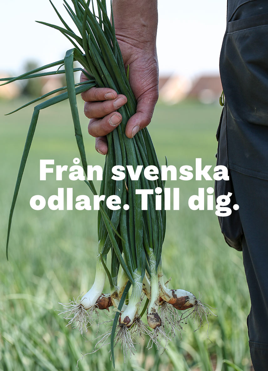 SydGrönt — kommunikationskoncept